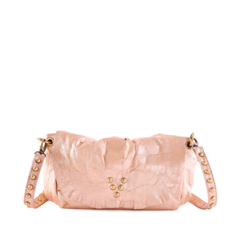 Wild Medium Champagne Bag